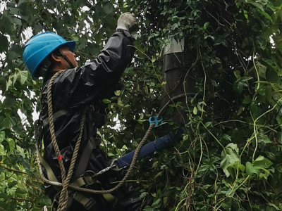 為戰(zhàn)臺(tái)風(fēng)保供電，創(chuàng)輝電氣這樣做